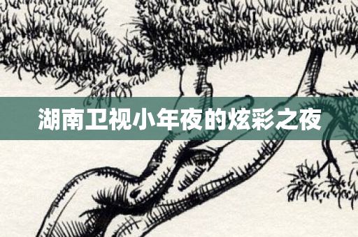 湖南卫视小年夜的炫彩之夜 湖南卫视小年夜的炫彩之夜