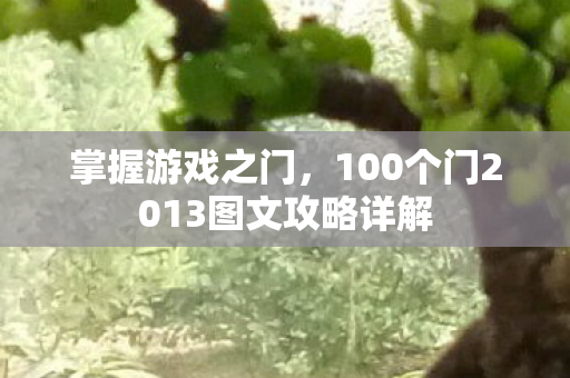 掌握游戏之门,100个门2013图文攻略详解 掌握游戏之门,100个门2013图文攻略详解