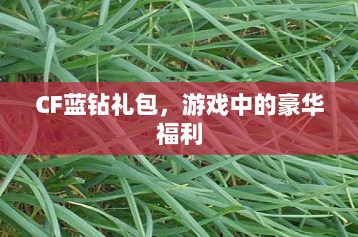 CF蓝钻礼包,游戏中的豪华福利 CF蓝钻礼包,游戏中的豪华福利