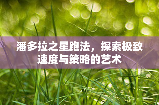潘多拉之星跑法,探索极致速度与策略的艺术 潘多拉之星跑法,探索极致速度与策略的艺术
