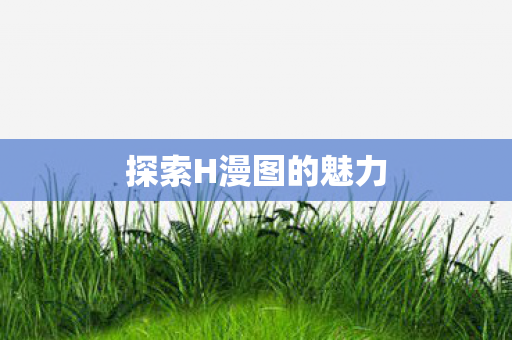 探索H漫图的魅力 探索H漫图的魅力