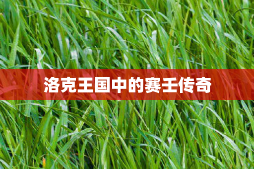 洛克王国中的赛壬传奇 洛克王国中的赛壬传奇