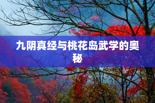 九阴真经与桃花岛武学的奥秘 九阴真经与桃花岛武学的奥秘