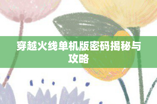 穿越火线单机版密码揭秘与攻略 穿越火线单机版密码揭秘与攻略