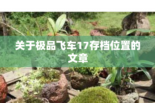 关于极品飞车17存档位置的文章 关于极品飞车17存档位置的文章