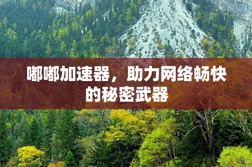 嘟嘟加速器,助力网络畅快的秘密武器 嘟嘟加速器,助力网络畅快的秘密武器