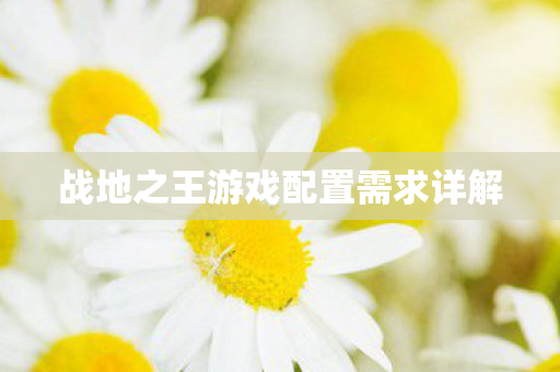 战地之王游戏配置需求详解 战地之王游戏配置需求详解