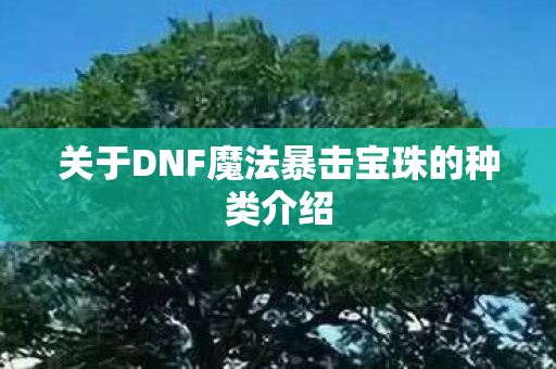 关于DNF魔法暴击宝珠的种类介绍 关于DNF魔法暴击宝珠的种类介绍