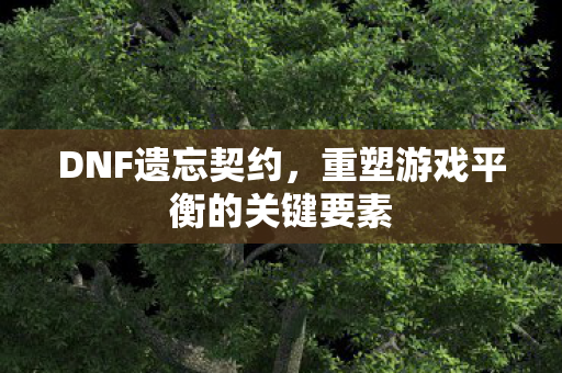 DNF遗忘契约,重塑游戏平衡的关键要素 DNF遗忘契约,重塑游戏平衡的关键要素