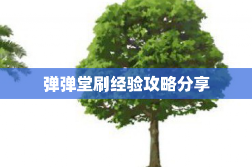 弹弹堂刷经验攻略分享 弹弹堂刷经验攻略分享