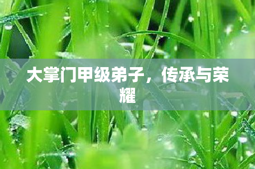 大掌门甲级弟子,传承与荣耀 大掌门甲级弟子,传承与荣耀