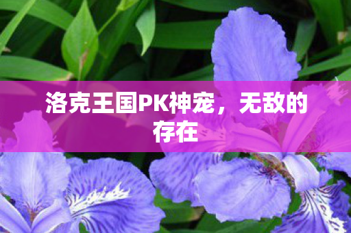 洛克王国PK神宠，无敌的存在