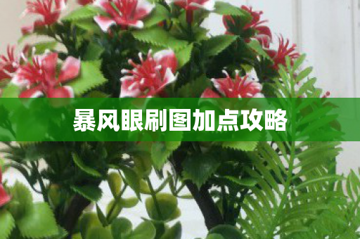暴风眼刷图加点攻略 暴风眼刷图加点攻略