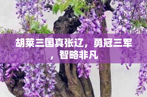 胡莱三国真张辽,勇冠三军,智略非凡 胡莱三国真张辽,勇冠三军,智略非凡