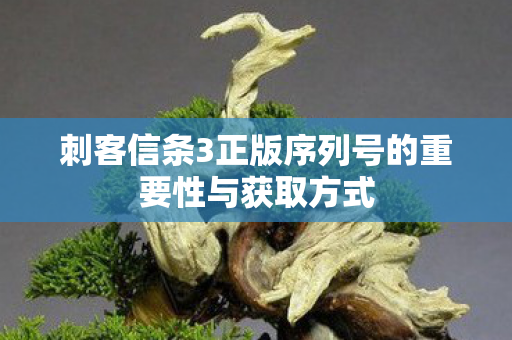 刺客信条3正版序列号的重要性与获取方式 刺客信条3正版序列号的重要性与获取方式