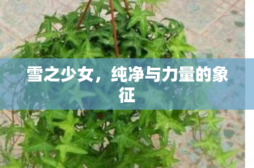 雪之少女,纯净与力量的象征 雪之少女,纯净与力量的象征