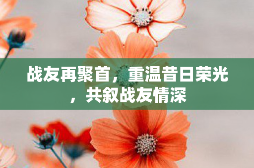 战友再聚首,重温昔日荣光,共叙战友情深 战友再聚首,重温昔日荣光,共叙战友情深