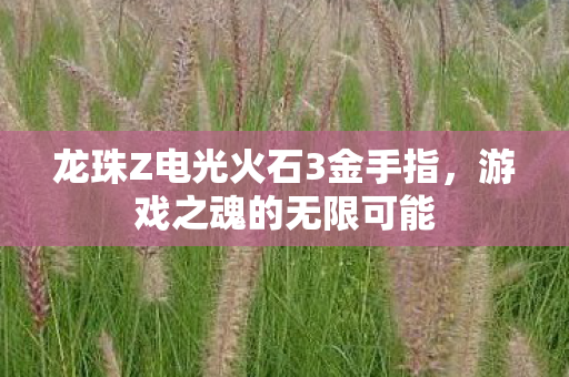 龙珠Z电光火石3金手指,游戏之魂的无限可能 龙珠Z电光火石3金手指,游戏之魂的无限可能