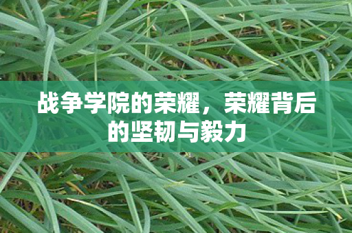 战争学院的荣耀,荣耀背后的坚韧与毅力 战争学院的荣耀,荣耀背后的坚韧与毅力