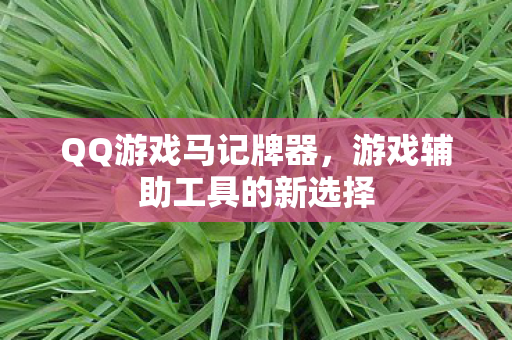 QQ游戏马记牌器，游戏辅助工具的新选择
