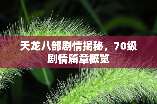 天龙八部剧情揭秘，70级剧情篇章概览
