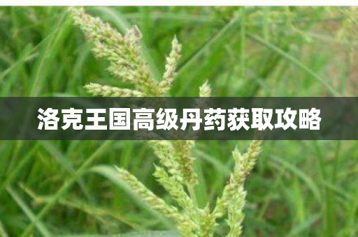 洛克王国高级丹药获取攻略 洛克王国高级丹药获取攻略