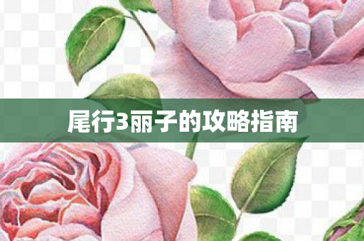 尾行3丽子的攻略指南 尾行3丽子的攻略指南