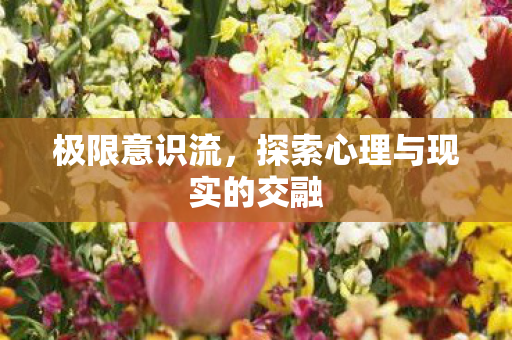 极限意识流，探索心理与现实的交融