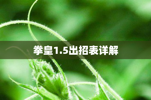 拳皇1.5出招表详解 拳皇1.5出招表详解