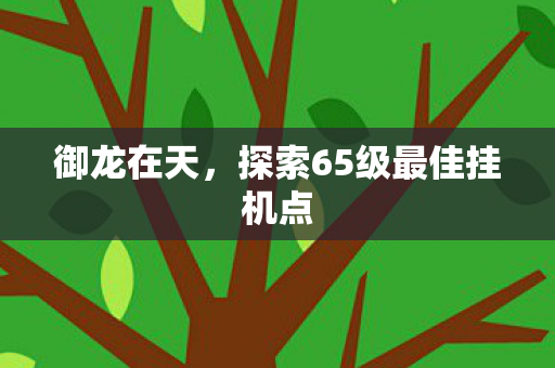 御龙在天，探索65级最佳挂机点