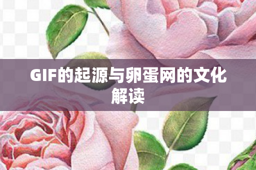 GIF的起源与卵蛋网的文化解读 GIF的起源与卵蛋网的文化解读