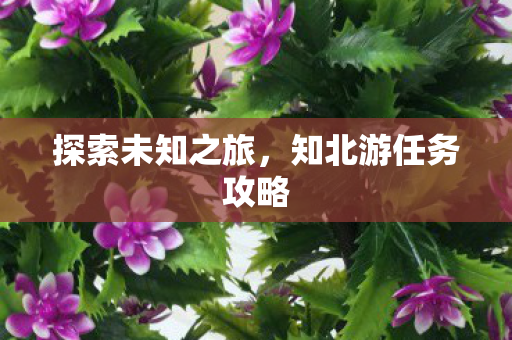 探索未知之旅,知北游任务攻略 探索未知之旅,知北游任务攻略