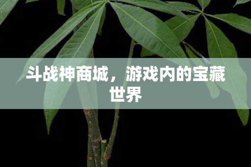 斗战神商城,游戏内的宝藏世界 斗战神商城,游戏内的宝藏世界