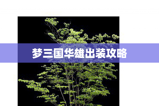 梦三国华雄出装攻略 梦三国华雄出装攻略