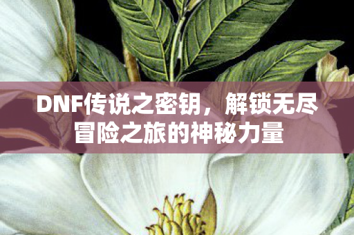 DNF传说之密钥,解锁无尽冒险之旅的神秘力量 DNF传说之密钥,解锁无尽冒险之旅的神秘力量