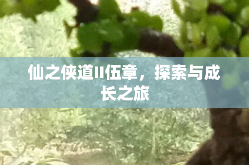 仙之侠道II伍章,探索与成长之旅 仙之侠道II伍章,探索与成长之旅