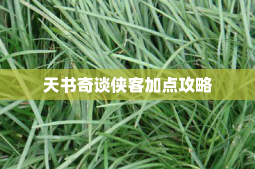 天书奇谈侠客加点攻略