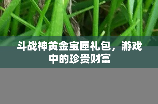 斗战神黄金宝匣礼包,游戏中的珍贵财富 斗战神黄金宝匣礼包,游戏中的珍贵财富