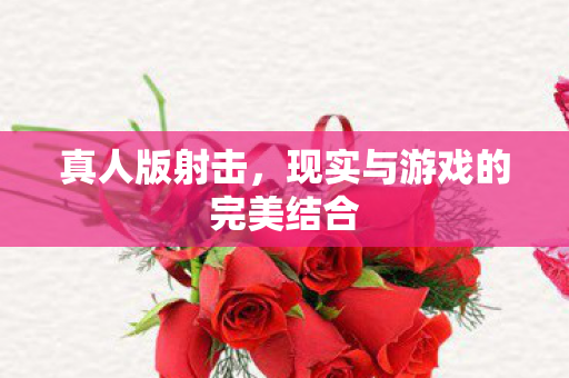 真人版射击,现实与游戏的完美结合 真人版射击,现实与游戏的完美结合