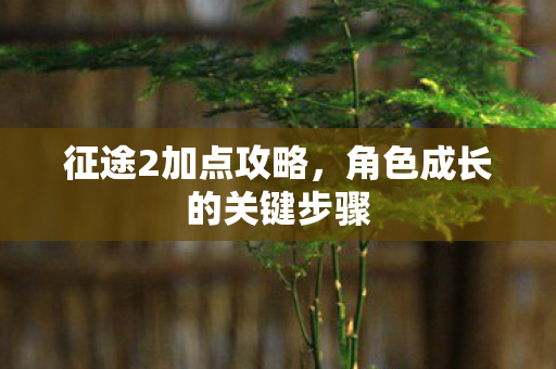 征途2加点攻略,角色成长的关键步骤 征途2加点攻略,角色成长的关键步骤