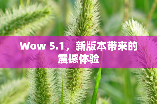 Wow 5.1，新版本带来的震撼体验
