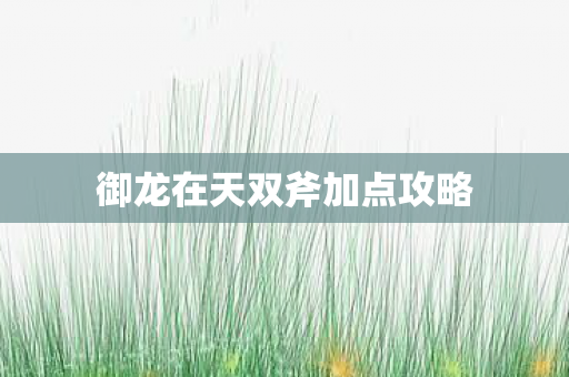 御龙在天双斧加点攻略