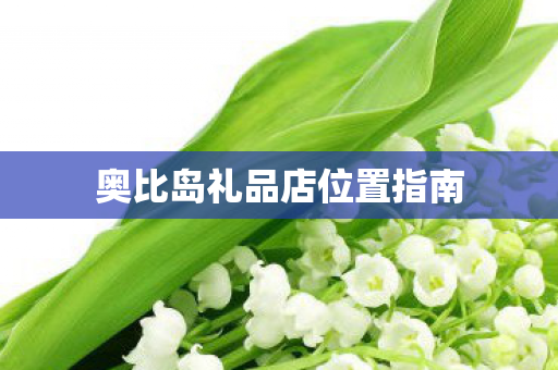 奥比岛礼品店位置指南 奥比岛礼品店位置指南