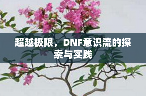 超越极限,DNF意识流的探索与实践 超越极限,DNF意识流的探索与实践