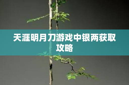 天涯明月刀游戏中银两获取攻略