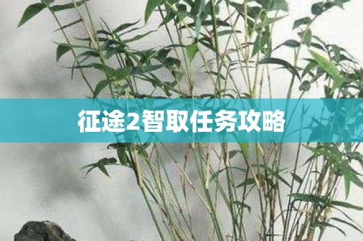 征途2智取任务攻略