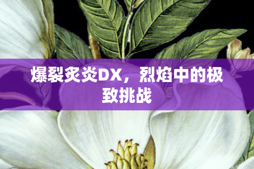 爆裂炙炎DX,烈焰中的极致挑战 爆裂炙炎DX,烈焰中的极致挑战