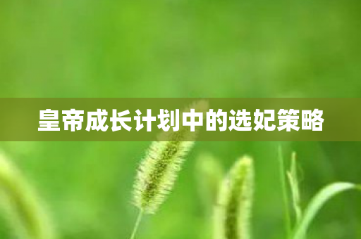 皇帝成长计划中的选妃策略 皇帝成长计划中的选妃策略