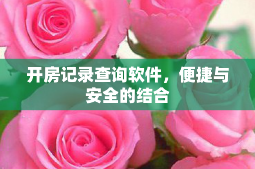 开房记录查询软件,便捷与安全的结合 开房记录查询软件,便捷与安全的结合