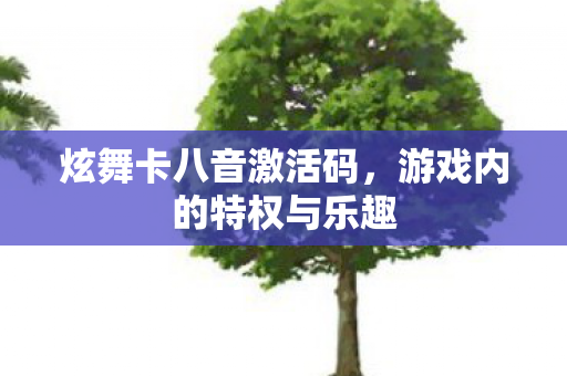 炫舞卡八音激活码，游戏内的特权与乐趣